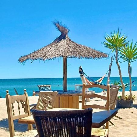 T3 Grande Terrasse Bord De Mer Le Barcares Exterior photo